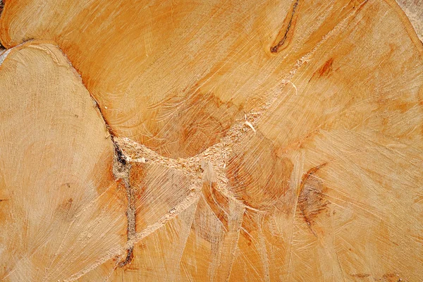 Yuvarlak ahşap doku