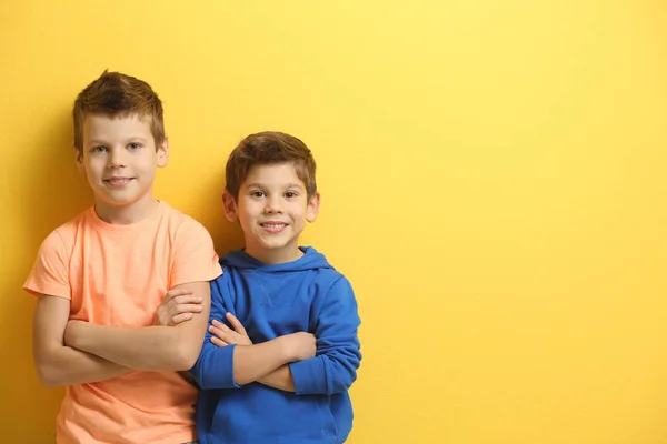 Cute little brothers — Stock Photo, Image