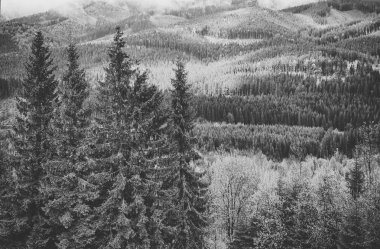 siyah ve beyaz manzara