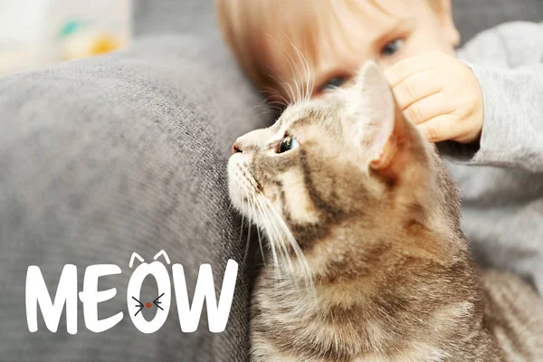 Liten Pojke Leker Med Söt Katt Och Word Meow Bakgrund — Stockfoto