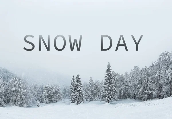 Text sníh den — Stock fotografie