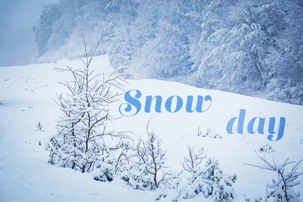 Tekst Snow Day — Stockfoto