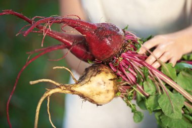 Demet pancar tutan eller