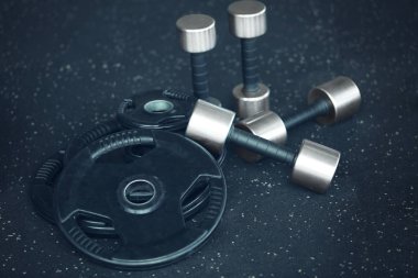 Ağırlık plakaları ve halter