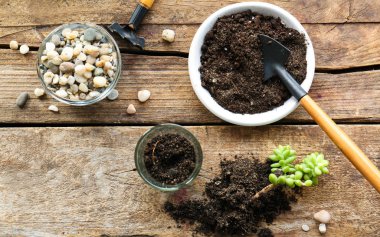 Güzel etli süreçte