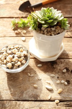 Güzel etli süreçte