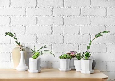 Succulents ahşap tablo