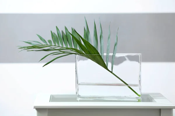 Green branch in vase — Stock Photo, Image