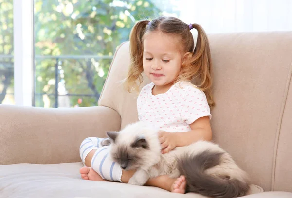 Cute little girl with cat — Stock Photo, Image