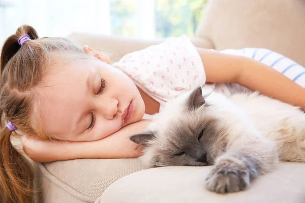 Мила маленька дівчинка з кішкою — стокове фото