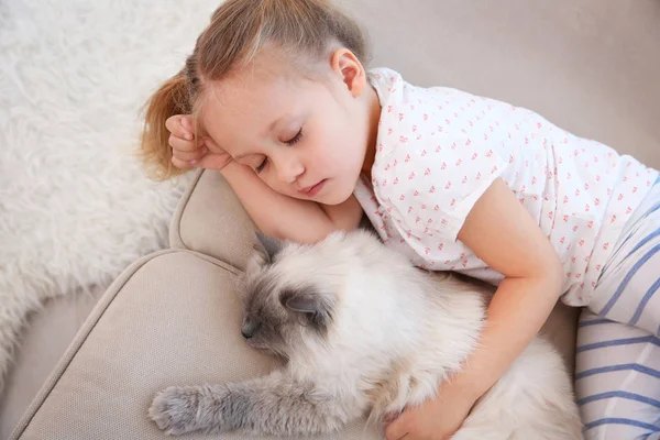 Carino bambina con gatto — Foto Stock