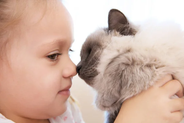 Schattig klein meisje met kat — Stockfoto