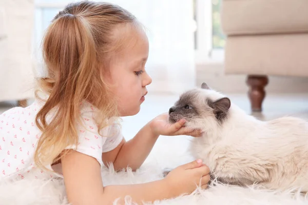 Schattig klein meisje met kat — Stockfoto