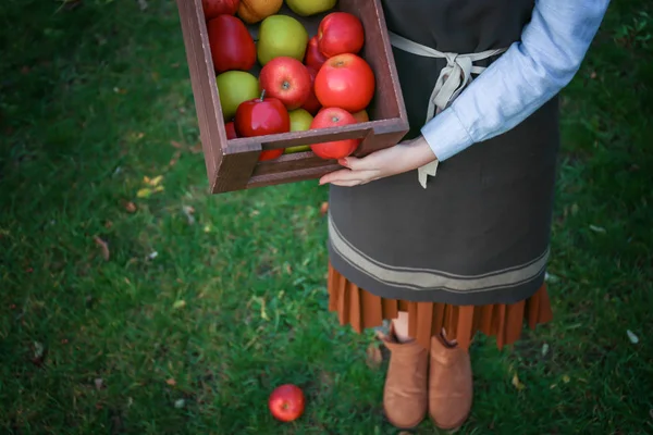 Closeup of woman holding wooden box — Stock Photo, Image