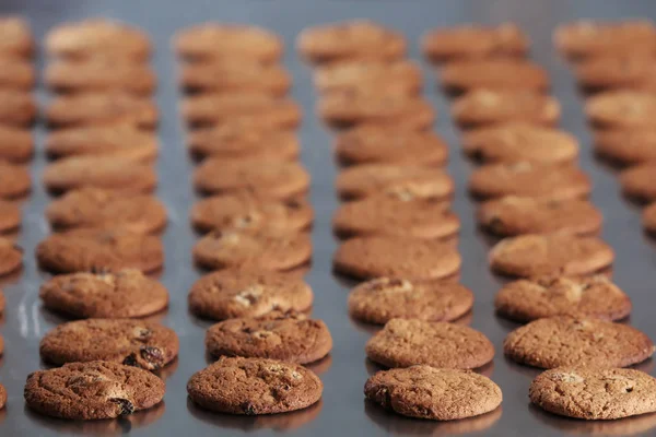 Linha de produção de biscoitos de cozimento — Fotografia de Stock