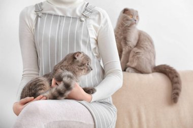 Sahibi ile sevimli kediler