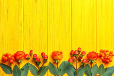 Hypericum, gül ve rowan