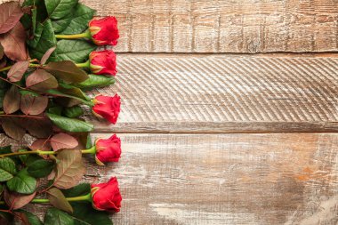 güzel kırmızı gül