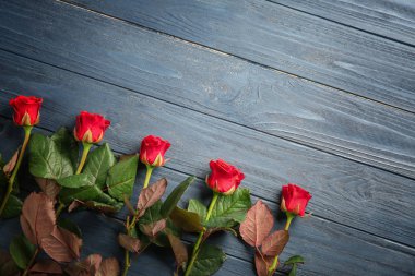 güzel kırmızı gül