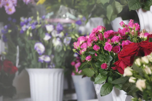 Sortiment av vackra blommor — Stockfoto