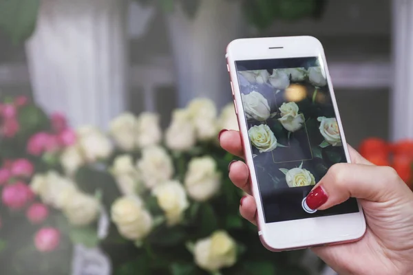 Hand att ta bild på vackra blommor — Stockfoto