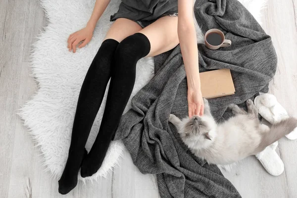 Cute funny cat — Stock Image Cute funny cat Stock Picture