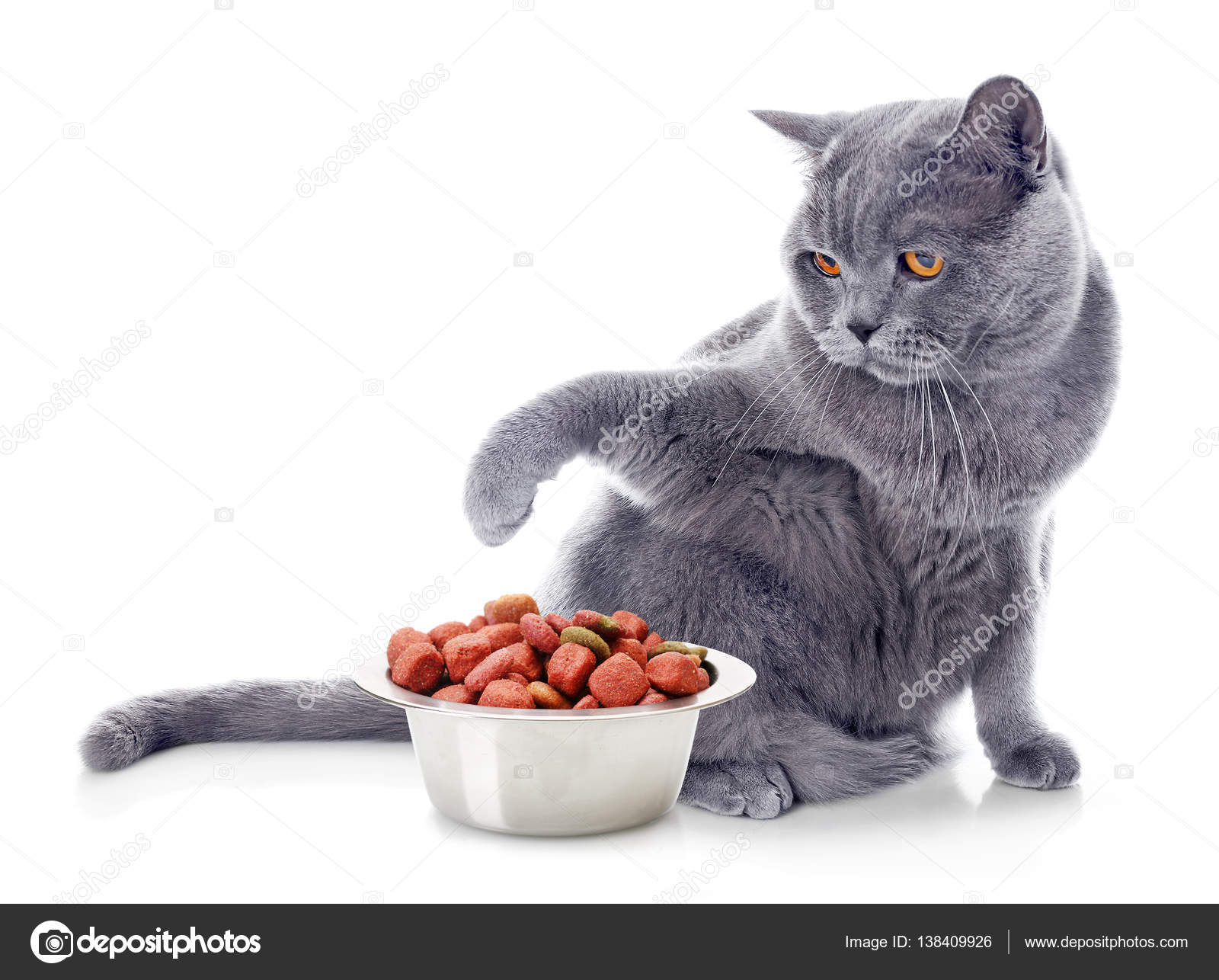 Можно ли котятам жареное. Кот ворует еду. Кошка ест влажный корм. Красивая миска с кор мам. Корм для кошек.