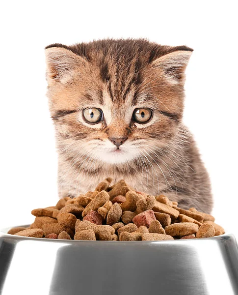 Cute kitten and bowl — Stock Photo, Image