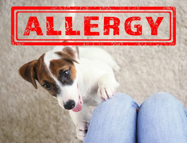 Koncepcja zwierząt alergii — Zdjęcie stockowe