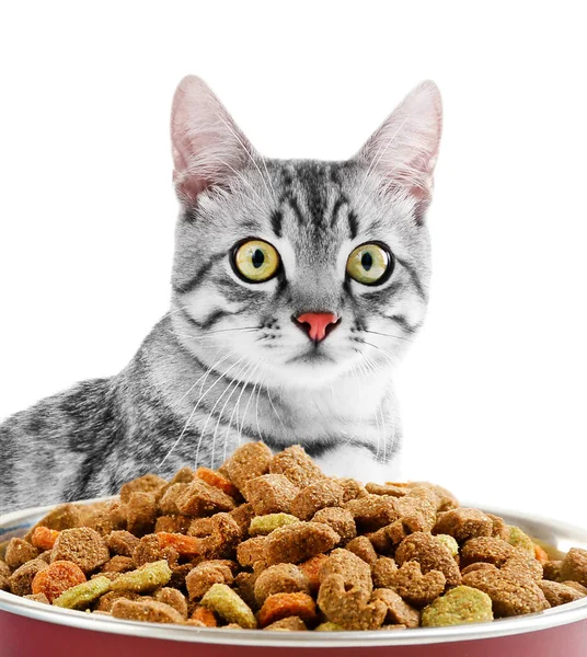 Gato bonito e tigela com alimentos secos — Fotografia de Stock