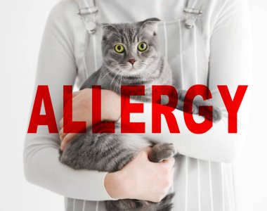 Hayvan Anti kavramı