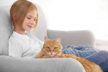 Kırmızı kabarık kedi ile şirin kız  