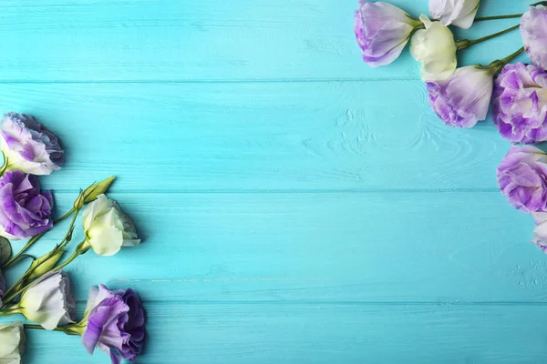 Taze pembe çiçekli çerçeve — Stok fotoğraf