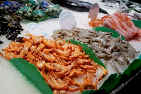 buz üstünde taze deniz ürünleri