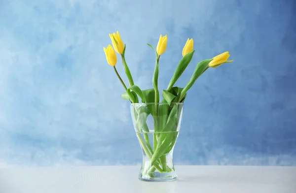 Bouquet af smukke tulipaner - Stock-foto