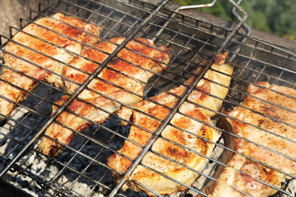 Vers vlees op grill — Stockfoto