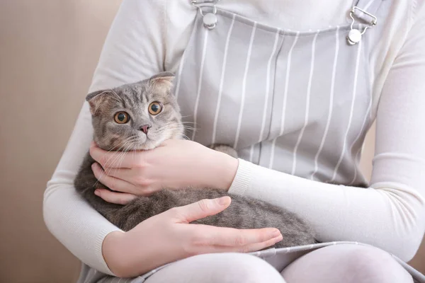 Cute cat with owner at home — Stock Photo, Image
