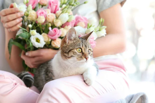 Cute funny cat with owner — Stock Photo, Image