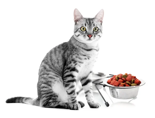 Carino gatto e ciotola con il cibo — Foto Stock