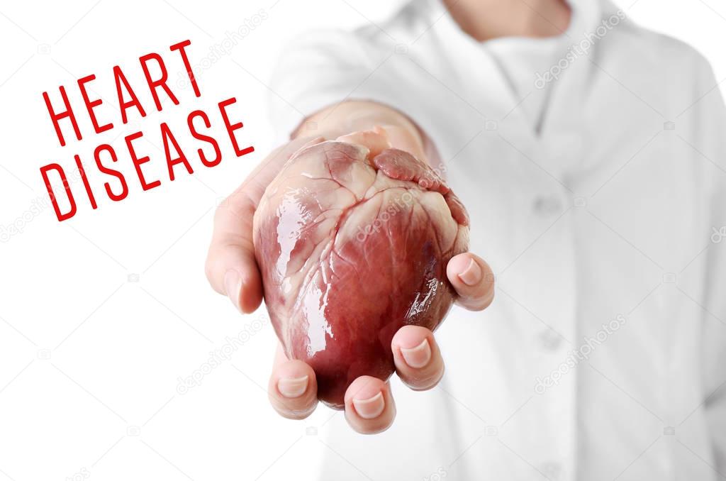 Cardiology and health care concept