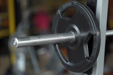 Halter salonunda raf üzerinde