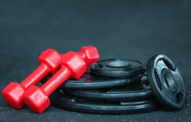Ağırlık plakaları ve halter
