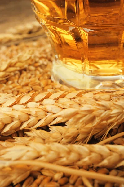 大麦种子和杯啤酒 — 图库照片