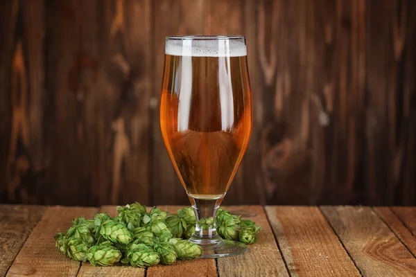 Glas med öl och hop — Stockfoto