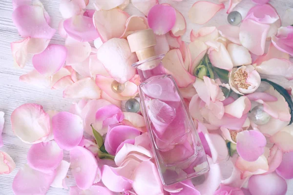 Эфирное масло на лепестках роз — стоковое фото