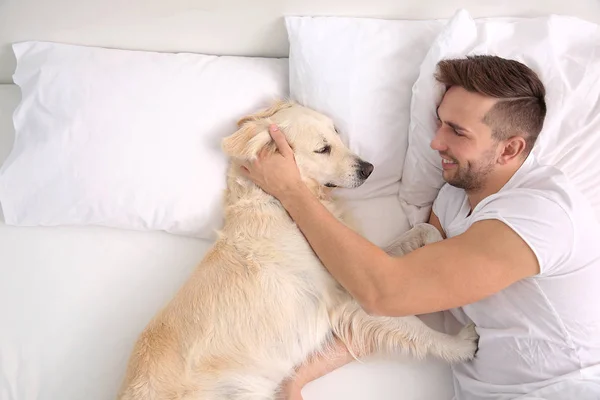 Labrador Retriever ile yatan yakışıklı adam — Stok fotoğraf