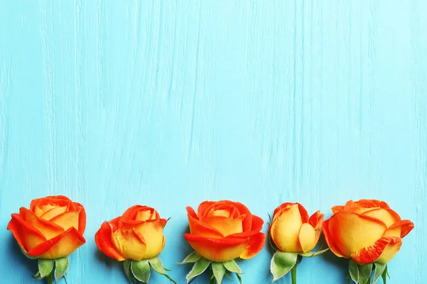 Farbenfrohe frische Rosen — Stockfoto