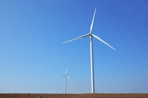 Windmolens in zomer veld — Stockfoto