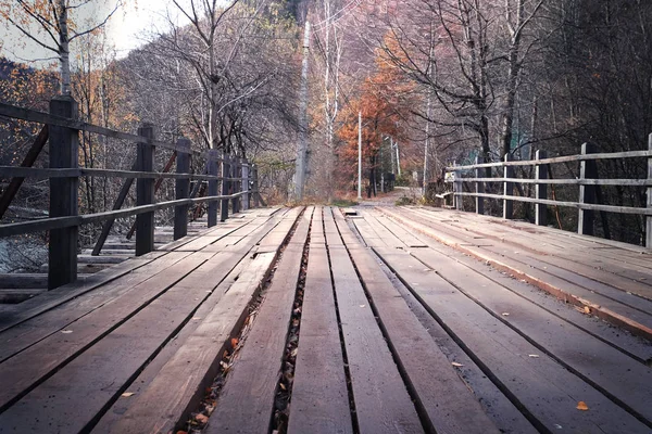 Dřevěný most v lese — Stock fotografie