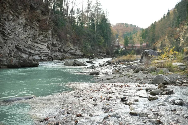 Flusso forestale dei Carpazi — Foto Stock